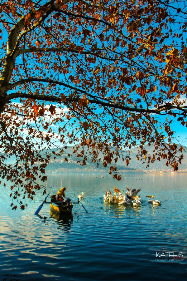 Landscape Photography - Image 6