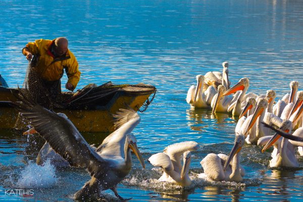 Landscape Photography - Image 8