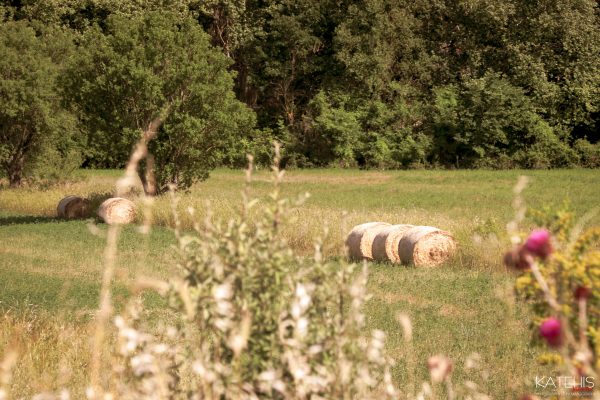 Landscape Photography - Image 13