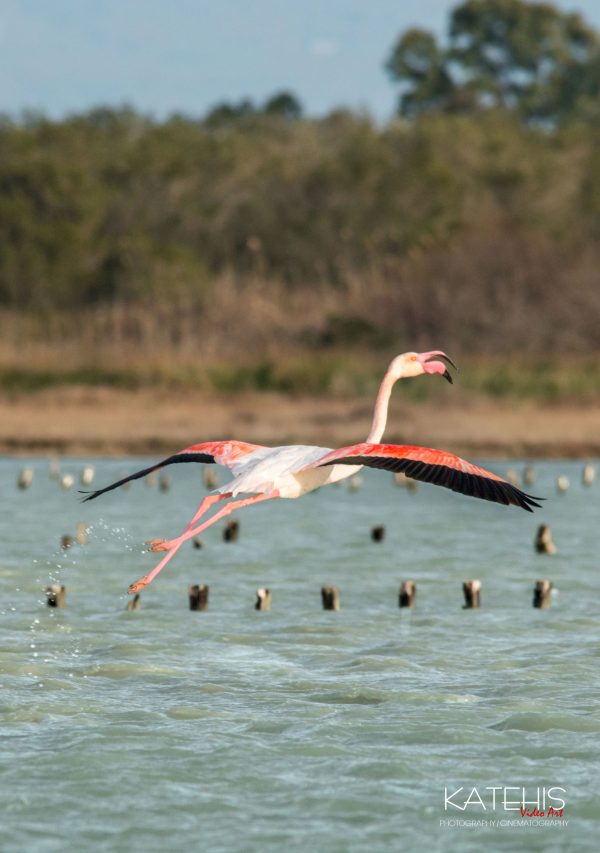 Landscape Photography - Image 14