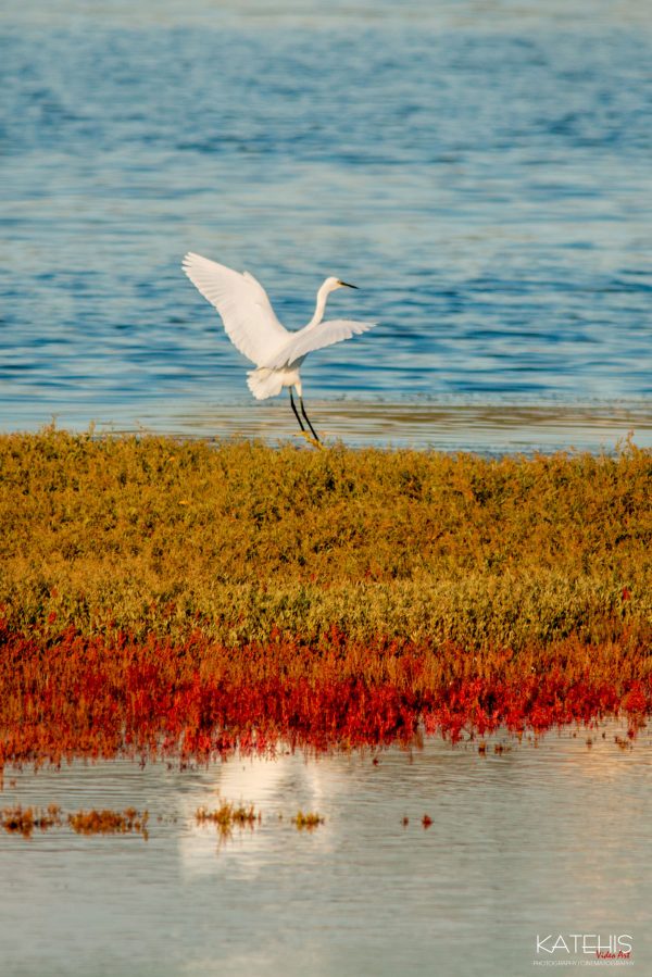 Landscape Photography - Image 19